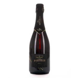 Juvenelle CHAMPAGNE Rosé